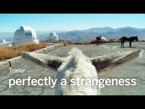 PERFECTLY A STRANGENESS Trailer | TIFF 2024