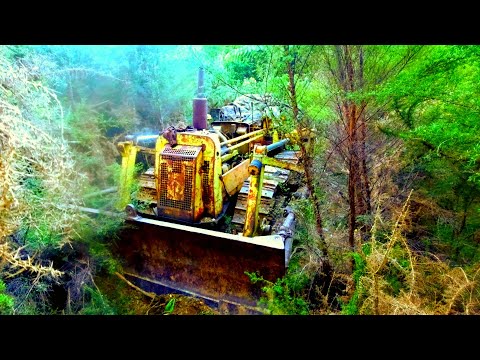 Salvaging an Abandoned TD9 Bulldozer from the Forest.. Will it start??