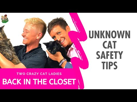 Cat Safety Tips | Two Crazy Cat Ladies Podcast 0084