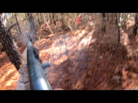 Kill Shot!!! Deer Hunting With Dogs!!! W.B. Hunt Club!! 12/30/23