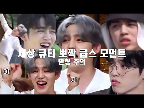 [세븐틴/에스쿱스] 뽀짝뽀짝 쿱질쿱질