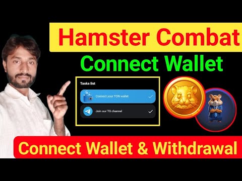 Hamster Combat Mining Airdrop Connect Wallet & Big Update || Hamster Combat Connect Wallet & Update