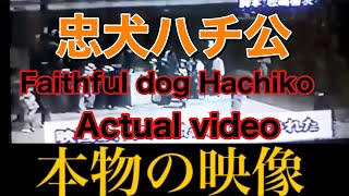 『忠犬ハチ公』本物の映像