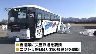 【鳥インフル】胎内市の養鶏場　死んだニワトリから高病原性鳥インフルエンザの陽性を確認　約６８万羽の殺処分が始まる　《新潟》