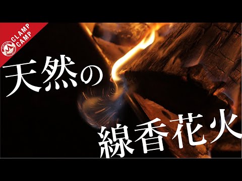 【記録映像】道志の森で見た不思議な焚火、まるで天然の線香花火「焚き火、ASMR、癒し、4K、キャンプ、ソロキャン、」