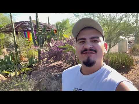 [VLOG] Desert Botanical Garden | Phoenix, Arizona | Calm Walking Tour