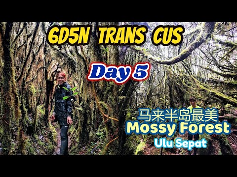 6D5N Trans CUS (G5 Chamah to G7 Ulu Sepat) Day 5 跨越马来半岛第五和第七最高山峰之第五天，马来半岛最美的mossy forest ulu sepat