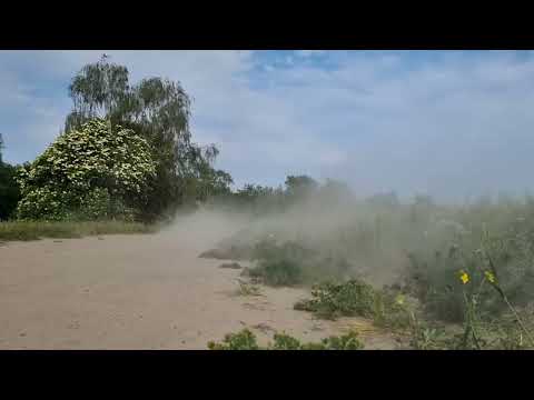 Speedruns on sand. REELY RAPTOR 6S