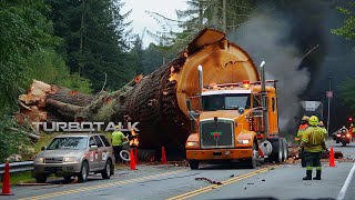 Extreme Logging Trucks | Extreme Dangerous Fastest Big Chainsaw Cutting Tree Machines #11