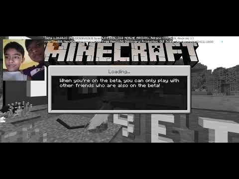 minecraft with my friend