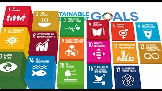 Priorities for the implementation of the 2030 Agenda