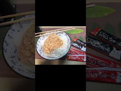 【ツナマヨ丼！？】2ちゃんねるの迷言が面白すぎたwww【アフレコ】