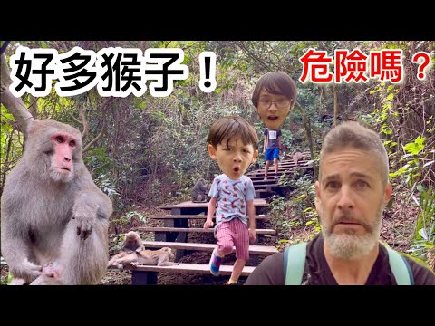 Taiwan 🇹🇼 Monkey Mountain 帶孩子們去猴子山