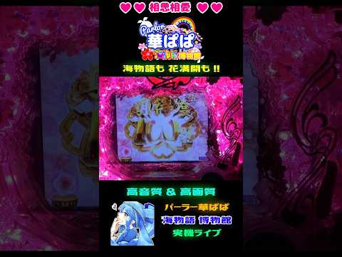 【 ありがとう 西陣 】✨プレミアム✨💯期待値 100%💯🌸花乱リーチ🌸✨花満開～天ノ舞～バージョン✨【 パーラー華ぱぱ・海物語 博物館 】ショート動画 #shorts