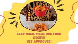 HOMEMADE DOG FOOD RECIPE THAT SAVED MY DOG'S LIFE! **VET APPROVED & EASY TO MAKE**. 😱