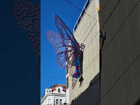 METAL BUTTERFLY. БАБОЧКА