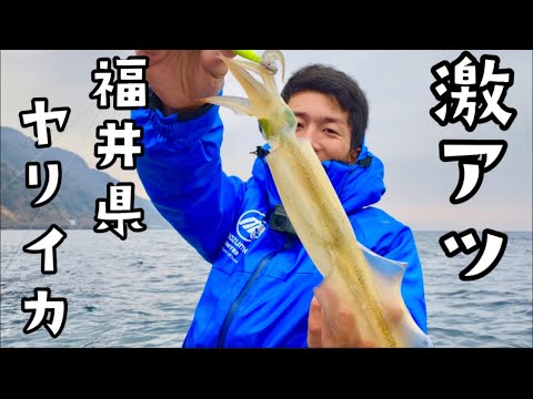 日本海でオススメなヤリイカの釣り方