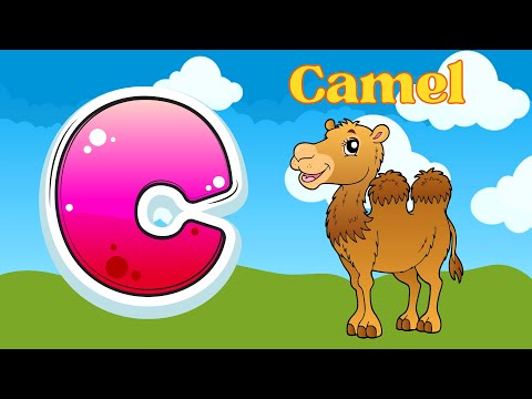 Letter C flashcards | Learn C words for kids | C Flashcards Words