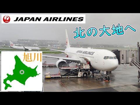 【JAL 羽田→旭川】北海道の大パノラマを堪能！