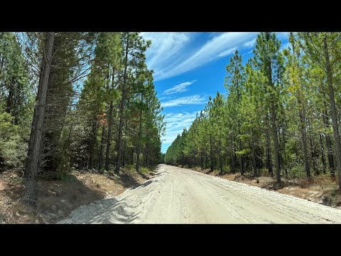 4x4单车穿越Bribie island，越野的魅力在于发现沿途未知的美景