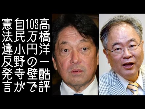 【高橋洋一】小野寺政調会長が「なんで学生が103万円まで働かないといけないのか」と経済活動の自由を妨げる憲法違反の発言をする【改憲君主党チャンネル】