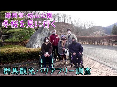 桜山公園　冬桜を見に行く