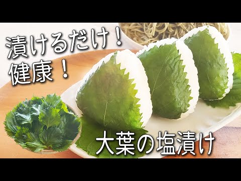 【大葉の塩漬け】材料2つ！簡単！ 反則級にうまい！青 しそ の 万能漬け ！ 大量消費 にも 硬くなった 青 紫蘇 の救済 レシピ！ 大葉漬け を使った アレンジ3選 大葉 ジェノベーゼ  青 紫蘇