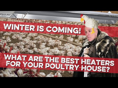 Poultry House Heater Comparison - Tube Heaters v. Pancake Heaters. Which is better?