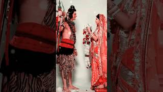 Mha Shivratri Coming Soon Status] Shiv Vivah Status Full Screen Status 2023 #shorts #viral #status