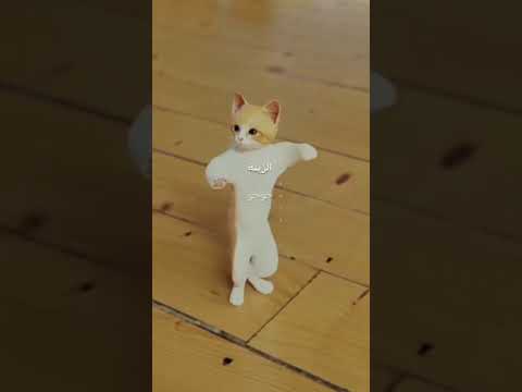 Billi maosi Ka वायरल dance ml ml 😎😎🤗🤗🤗🤗