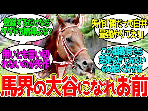 フォーエバーヤング、芝へに対するみんなの反応！【競馬 の反応集】