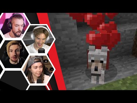 Let's Players Reaction To Getting A Pet Dog | Minecraft