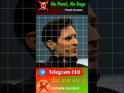 #telegram CEO Arrested No Pavel  No Dogs Airdrop dog Airdrop cancel 20years Jel No Airdrop DOG&HMSTR