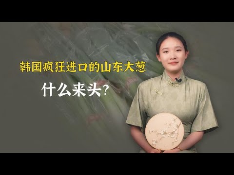 暴增超760%！韩国疯狂进口的山东大葱，什么来头？