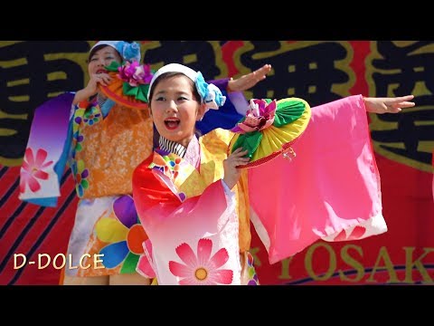 #19 《飛翠迅》木更津舞尊  (2018/5/5) #よさこい