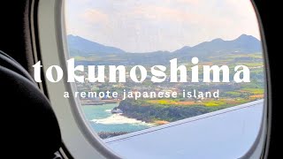 Tokunoshima travel 🇯🇵 First time visiting a remote island | Japan travel vlog Part 9