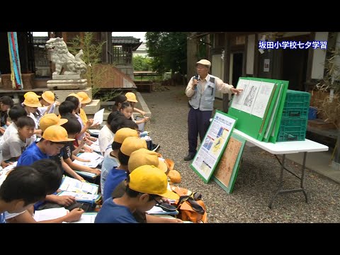 伊吹山テレビ2024年7月5日号