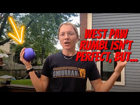 West Paw Rumbl Product Review