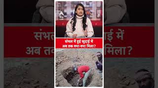 Sambhal News: संभल में खुदाई जारी, मंदिर-बावड़ी और क्या-क्या मिला? | #shorts