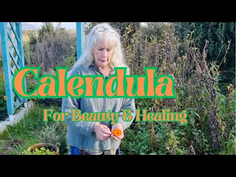 Calendula - Beauty & Healing