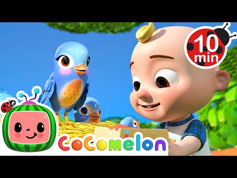 Baby Bird Rescue Mission! | Itsy Bitsy Spider | CoComelon Kids Songs & Nursery Rhymes