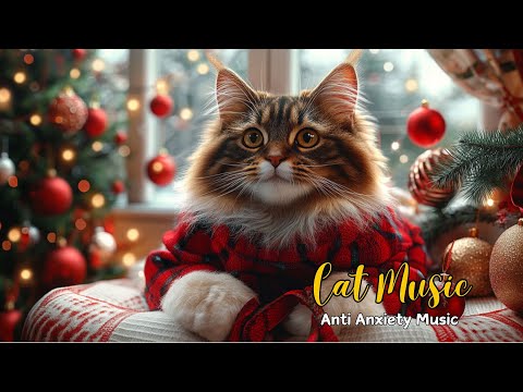 Soothing Music for Anxious Cats: Melodies Keep Your Cat Calm,  Reduce Anxiety And Sleep Well 💤