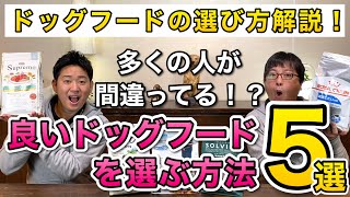 【ドッグフード選びでよくある間違い５選！】愛犬に合ったフードの選び方をペットショップ店長が解説します！