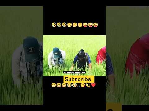 cg comedy new video, 🤪|| chhatisgarhi comedy video|| WhatsApp status video#cgcomedy#cgshorts#cgsong