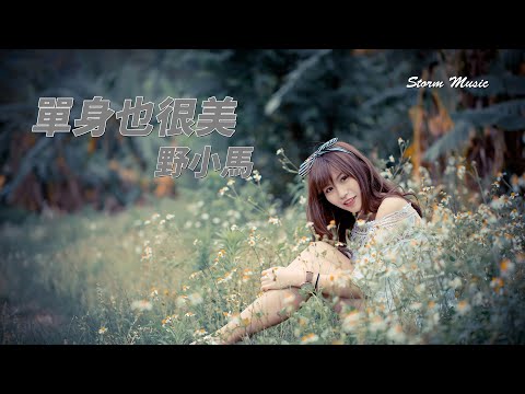 野小馬 - 單身也很美 [蛤蟆只要吃到肉 天鵝也無所謂]【動態歌詞Lyrics】