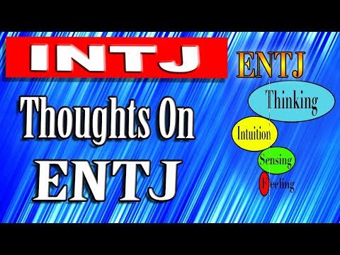 An INTJ take on ENTJ