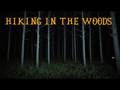 8  Disturbing True Hiking In The Woods Horror Stories | With Rain Sounds