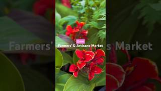 Farmers’ Market on Sunday 07.07.24 🍓🌱#farmersmarket #foodmarket #farmersmarketfinds #ukfoodies