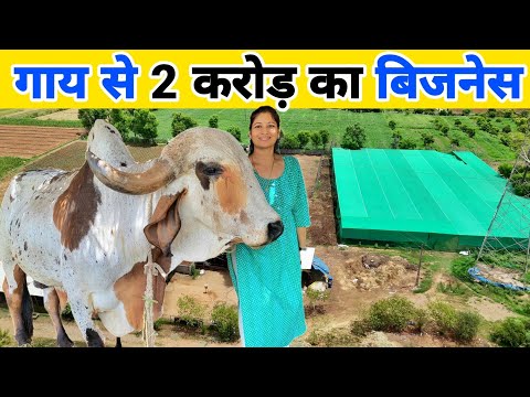 100 देसी गाय से करोड़ों का व्यवसाय | Cow farming in india