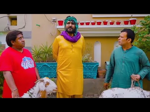 Rana Ijaz Funny Video | Rana Ijaz New Video | Standup Comedy Of Rana Ijaz #comedy #funny